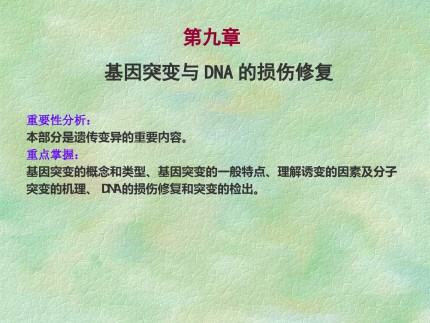 第九章 基因突变与DNA的损伤修复第1页