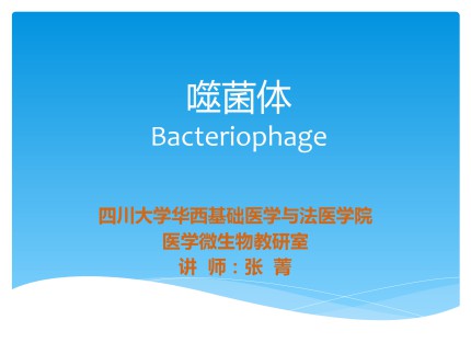 噬菌体Bacteriophage第1页