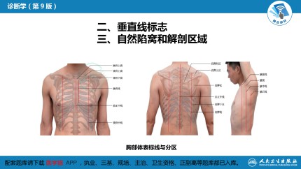 体格检查 第五章 胸部检查（第一节 至 第四节）第6页
