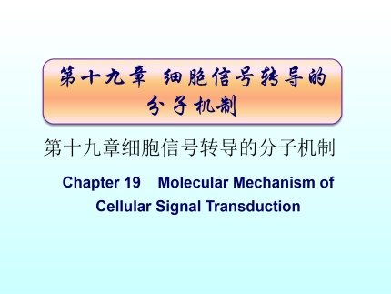 第十九章 细胞信号转导的分子机制第1页
