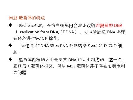 大肠杆菌的M13单链噬菌体DNA第3页
