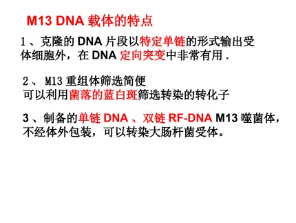 大肠杆菌的M13单链噬菌体DNA第8页