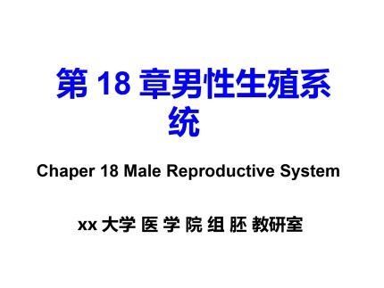第18章 男性生殖系统第1页