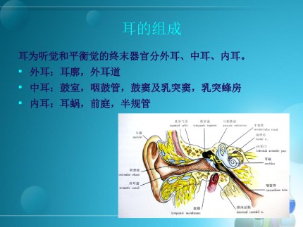 耳的影像解剖及常见疾病诊断第2页