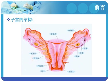 腹腔镜与经腹全子宫切除术的临床疗效和对性功能影响的比较第3页